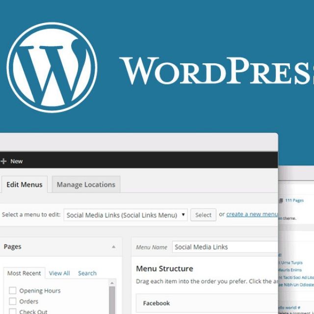 How to Easily Display Code on Your WordPress Site