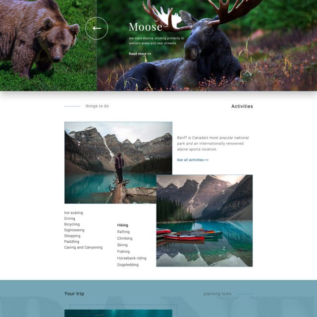 Travel website. Discover Canada. Adobe Ps, Ai.