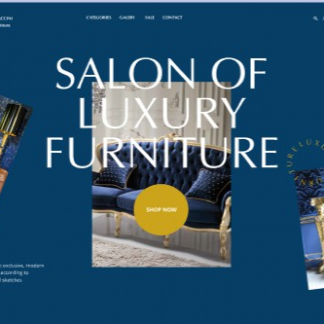  Salon of luxury furniture