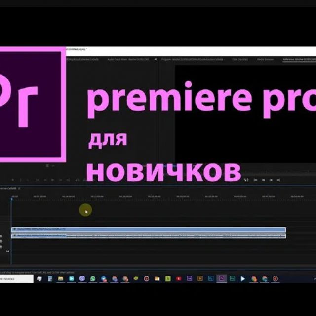    Premiere Pro