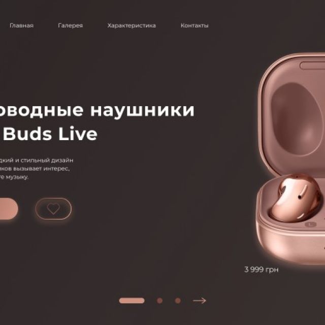  Landing Page    NAUSHNIK