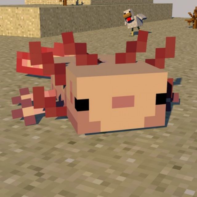 Axolotl Minecraft model