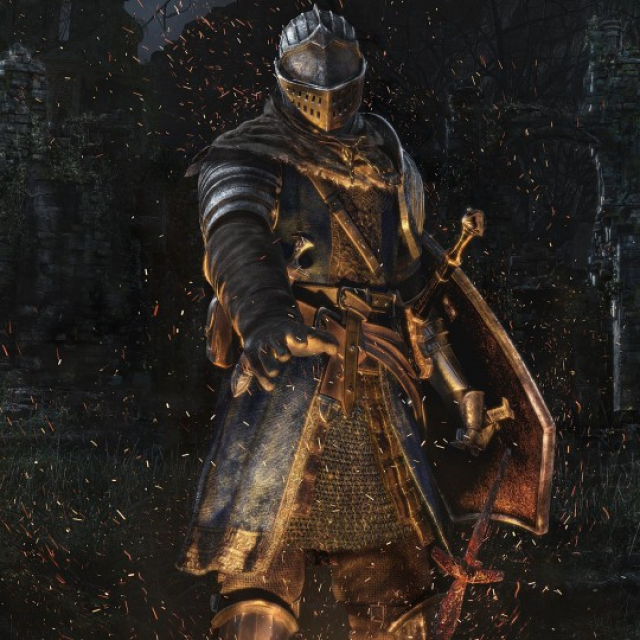 Dark Souls Warriors of the world