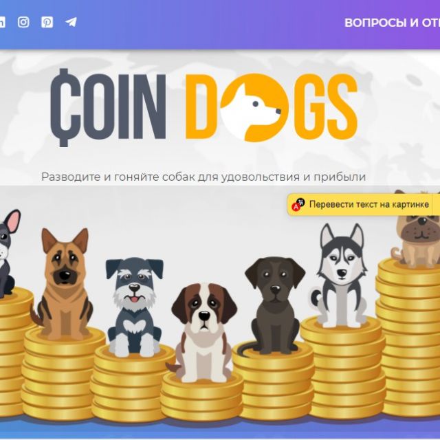    COINDOG