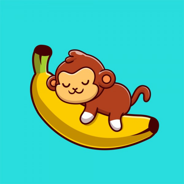 Funny Monkey