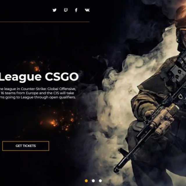 ¸       CS:GO