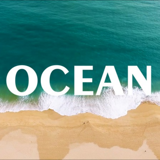 Ocean