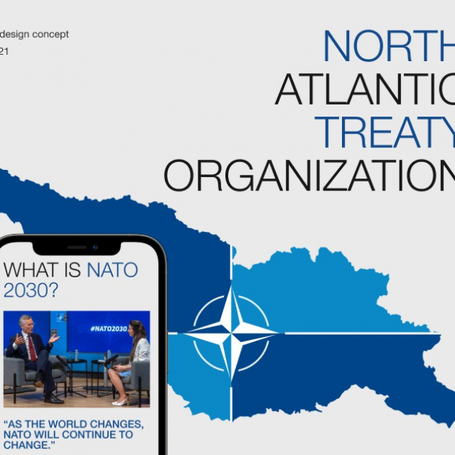  NATO  Website Redesign Concept