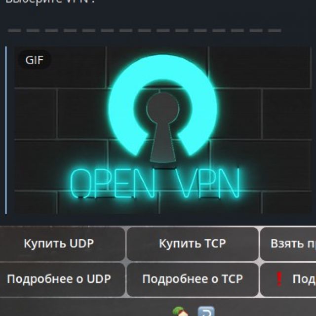  VPN