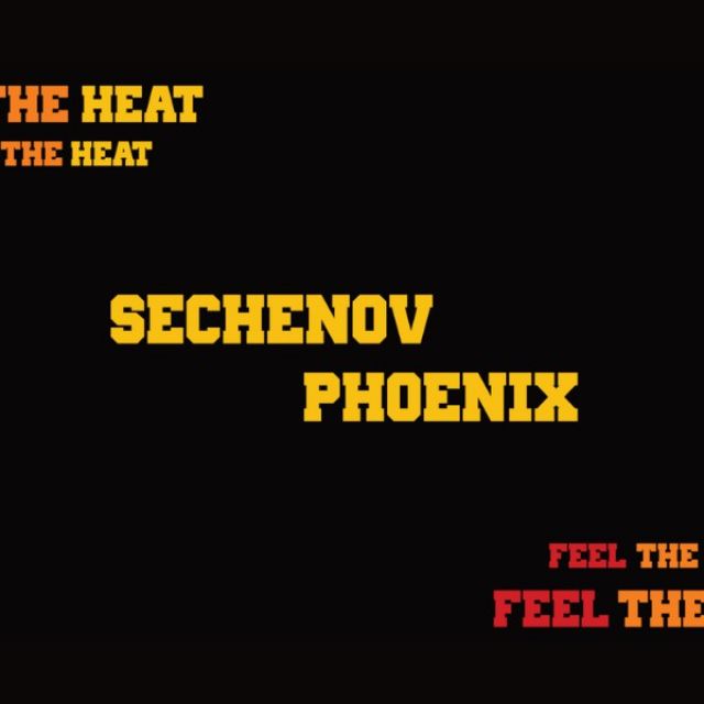  Sechenov Phoenix 