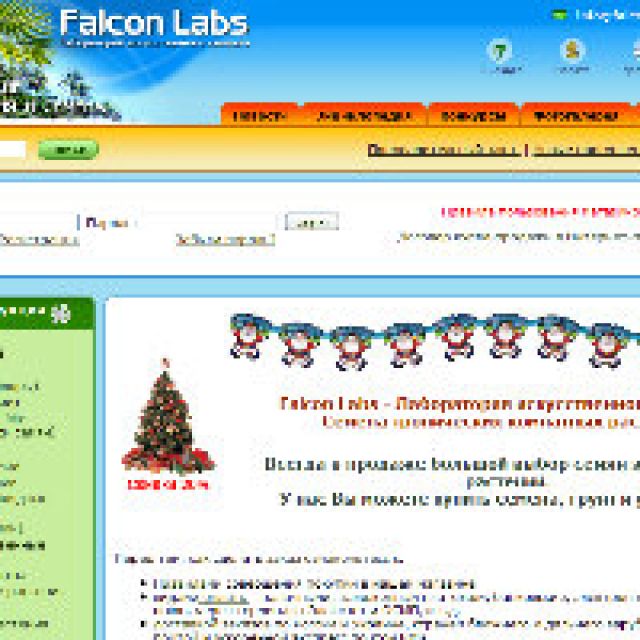 - Falcon Labs