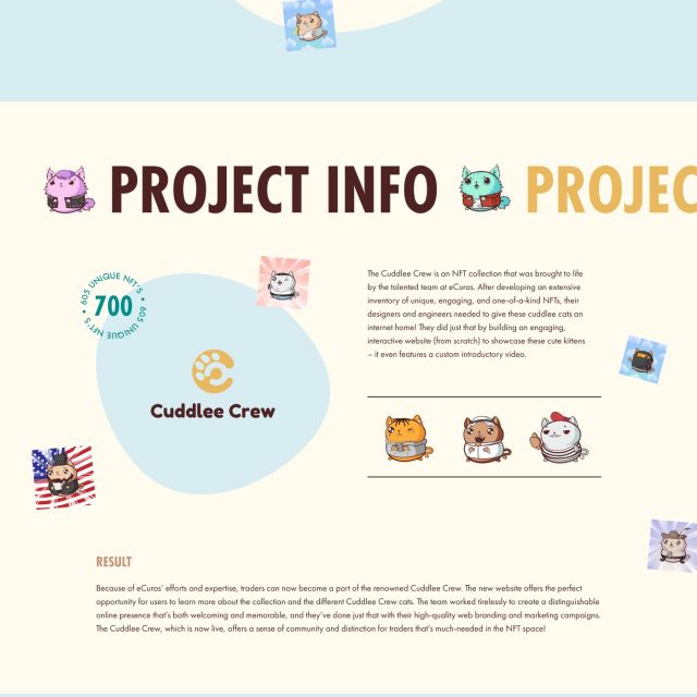 Website Design NFT project