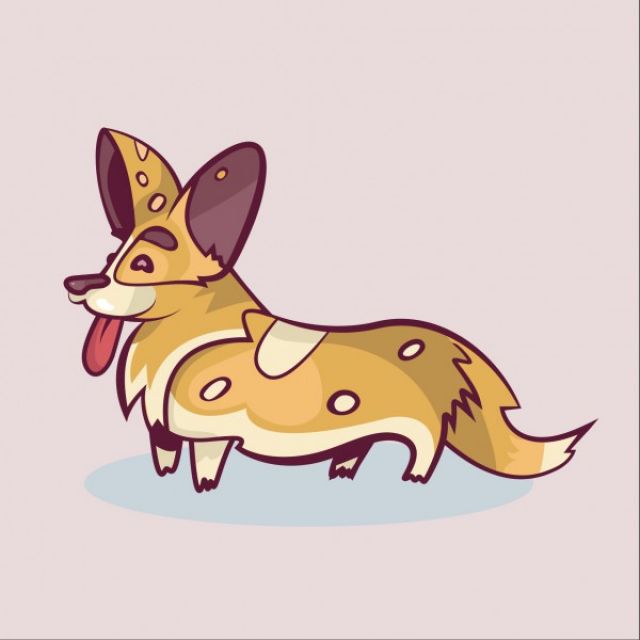 Corgi