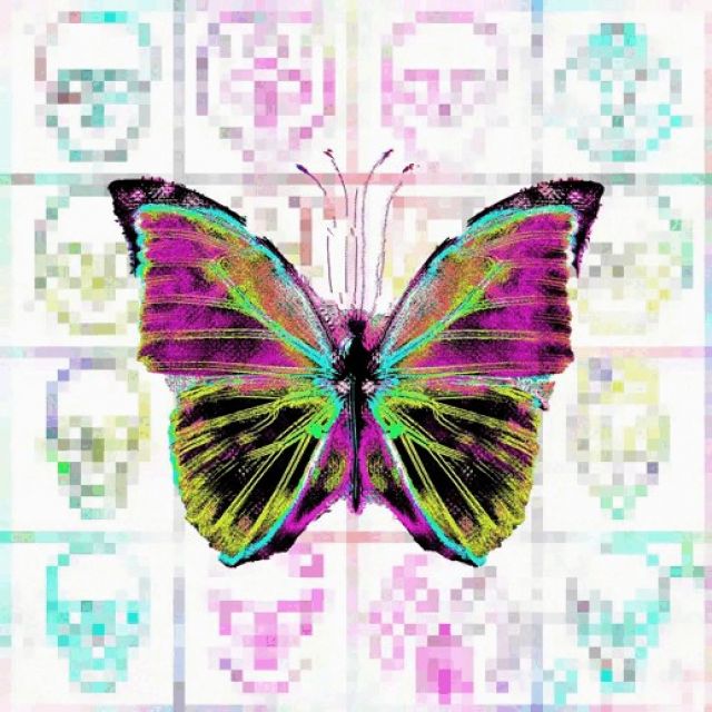 butterfly$