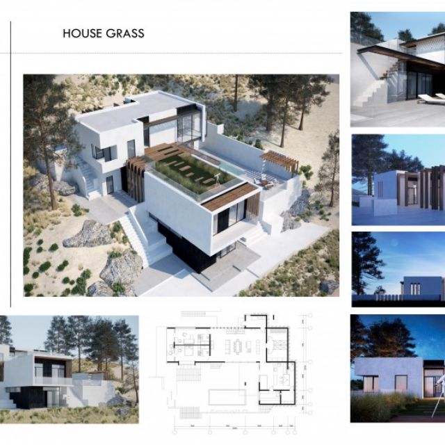 House Grass