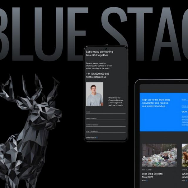     Blue Stag