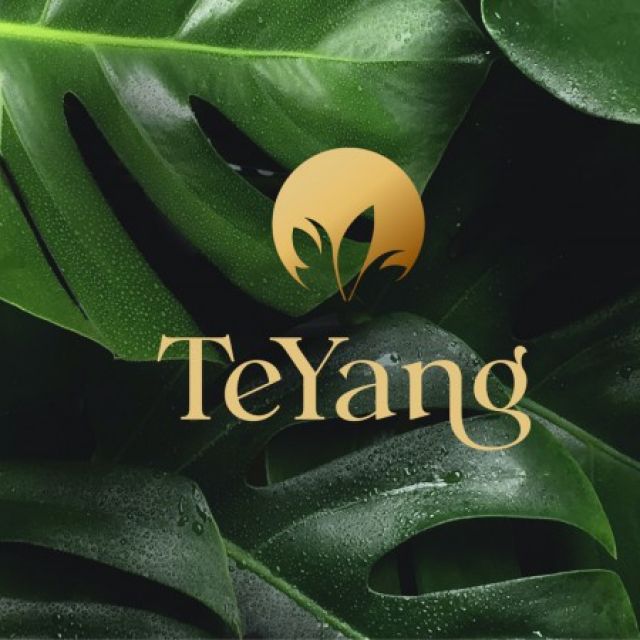 Teyang - branding and logo for skincare beauty brand