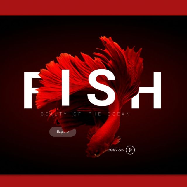 Design Website Fish