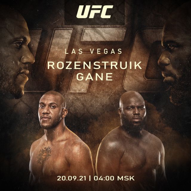 UFC-banner