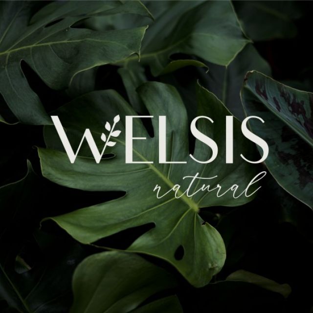 Welsis