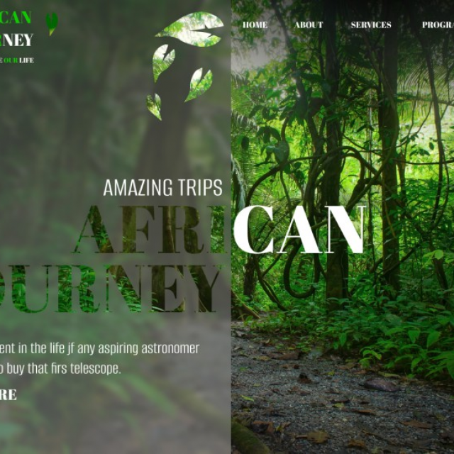 AFRICAN JOURNEY