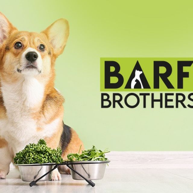 Logo BarfBrothers
