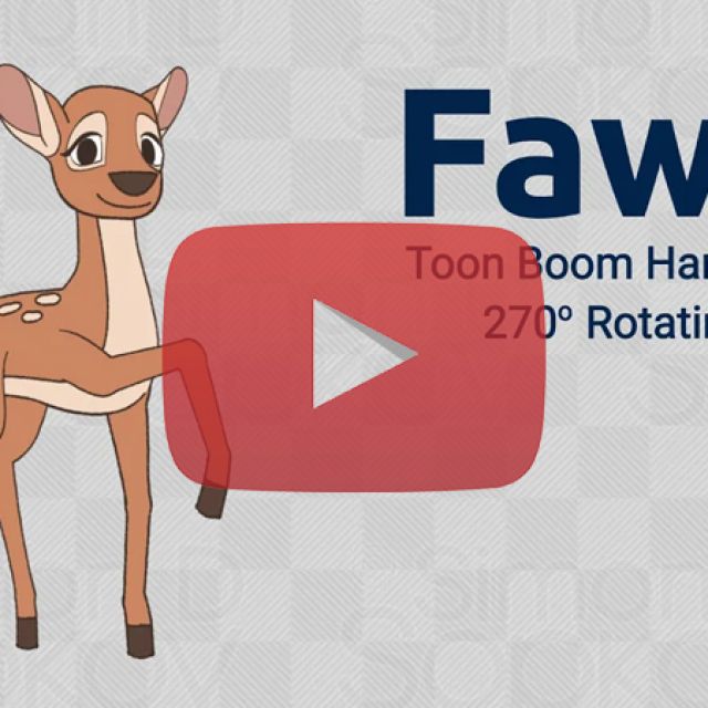 Fawn