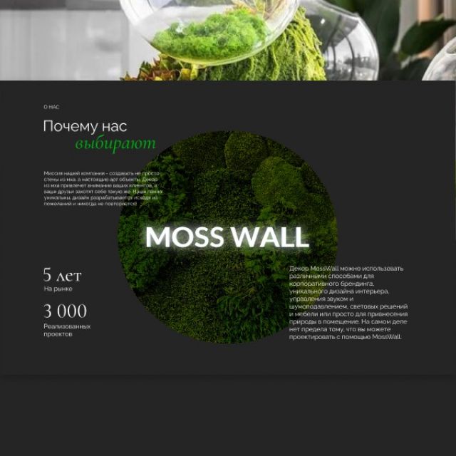 Moss Wall |    