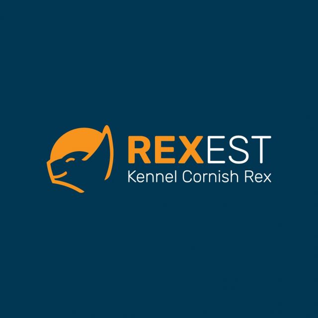 Rexest