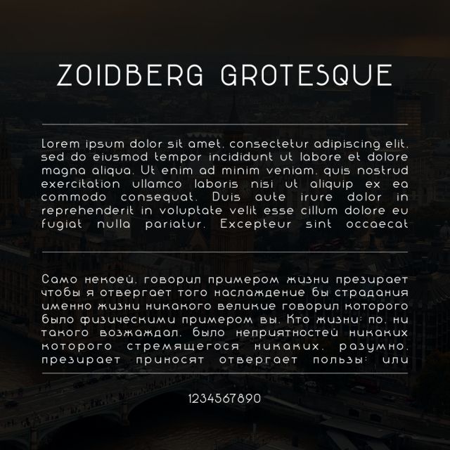  ZOIDBERG GROTESQUE