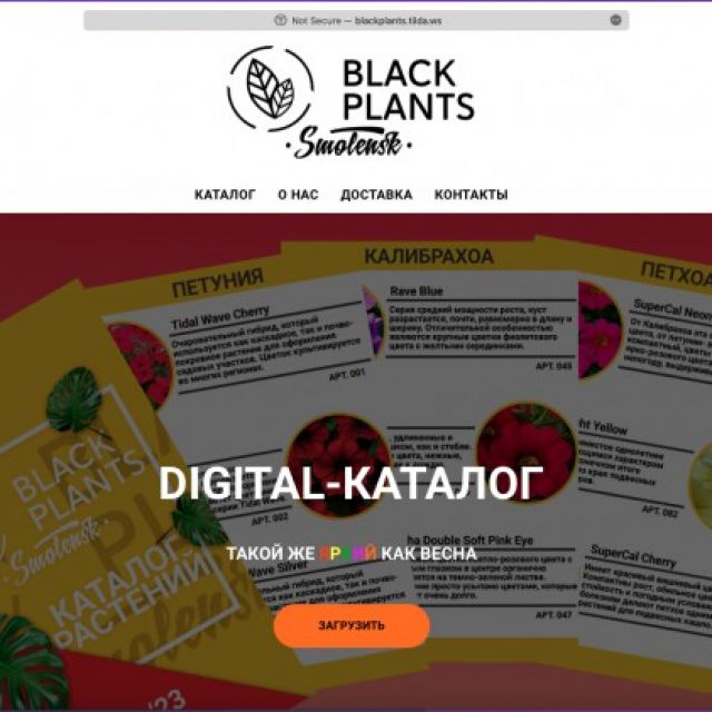 BLACKPLANTS