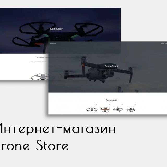 Drone Store