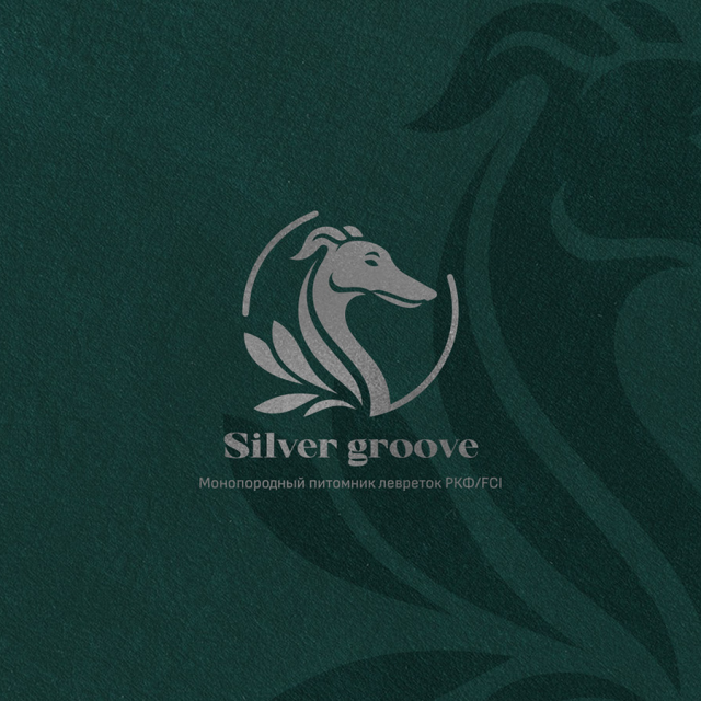  Vintage | Silver Groove