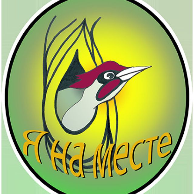 Cartoon image of the head of a green woodpecker peeking