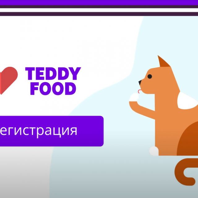 - Teddy Food