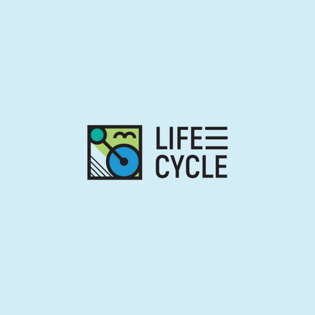  LifeCycle 