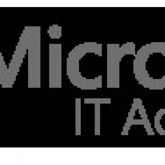 - Miccrosoft IT Academy