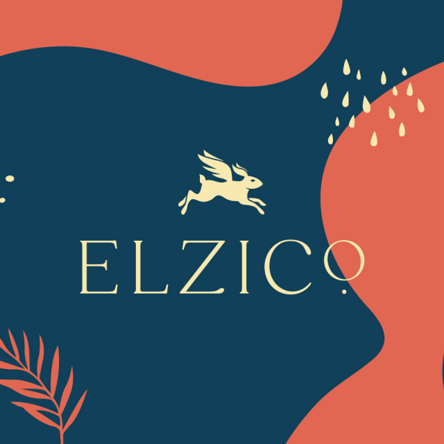 Elzico