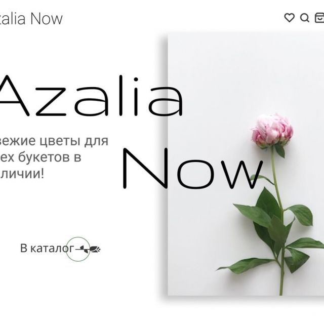   Azalia Now