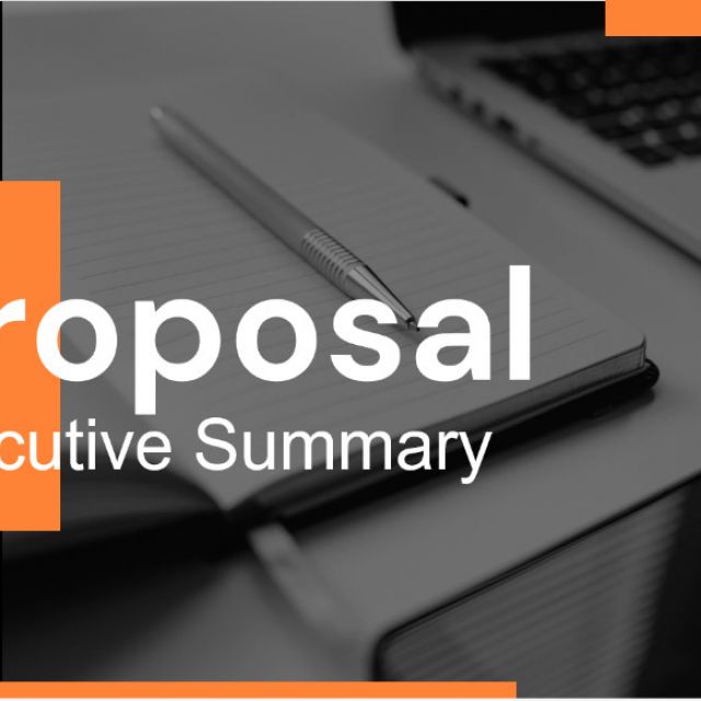 Modern Proposal Executive Summary Slides