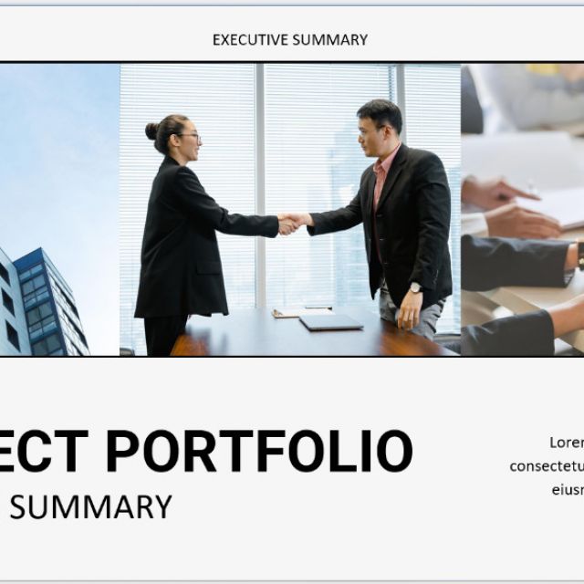 Project Portfolio Executive Summary Slides