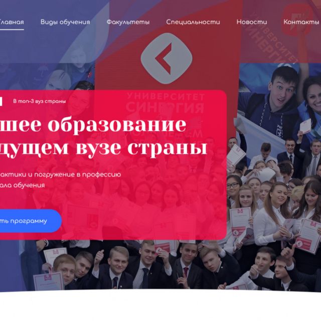 synergypnzpartner.ru