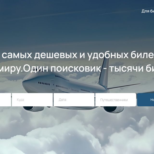 Air transportation website