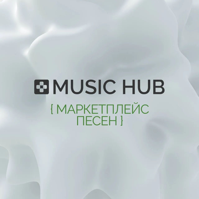   MUSIC HUB