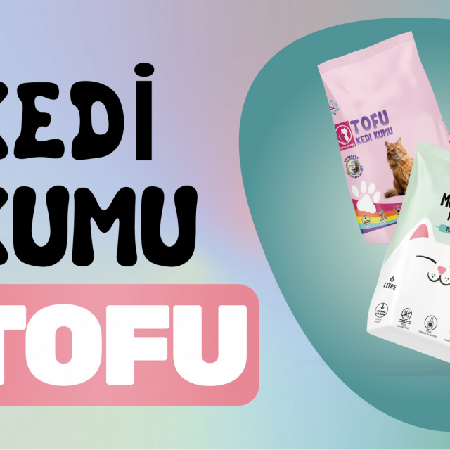 KEDI KUMU TOFU