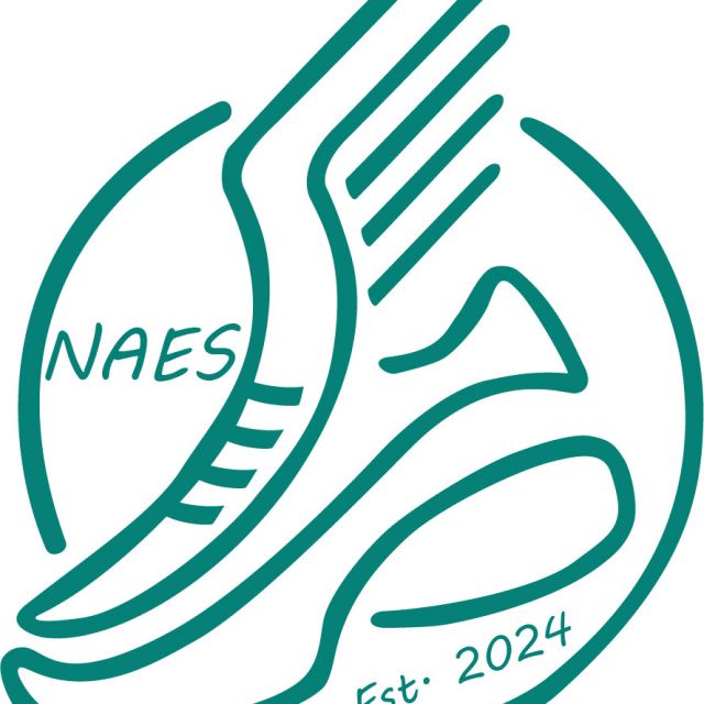 NAES