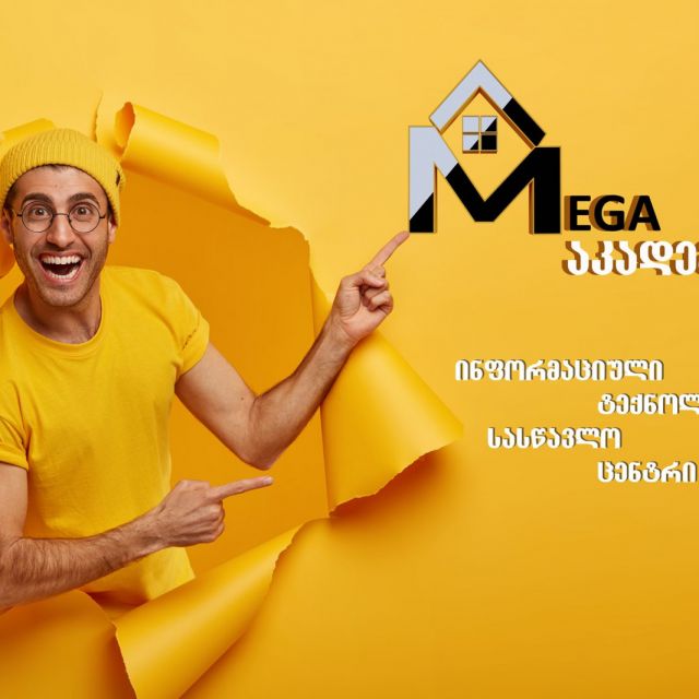 MegaAcademy