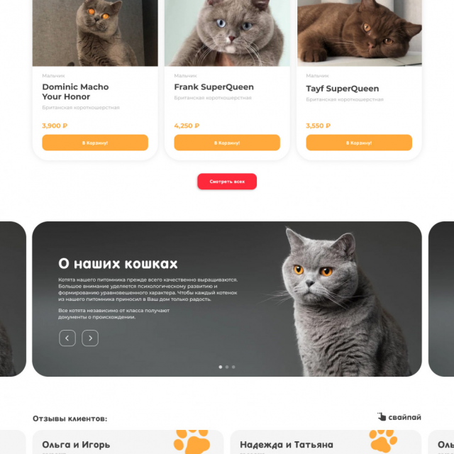  Landing-Page  Tilda |  