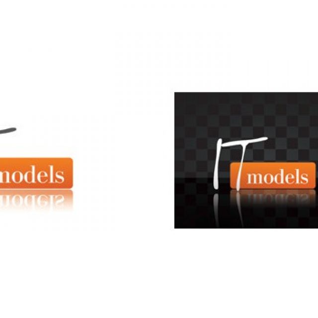 IT-models