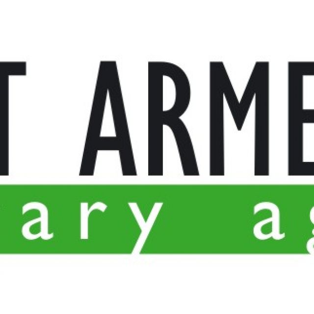 First Armenian Literary Agency
